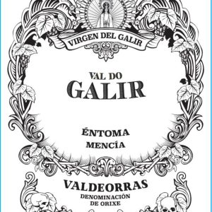 Bodegas Virgen del Galir Val do Galir Mencia 2020- 1631003