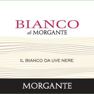 Morgante Bianco di 2022- 1290164