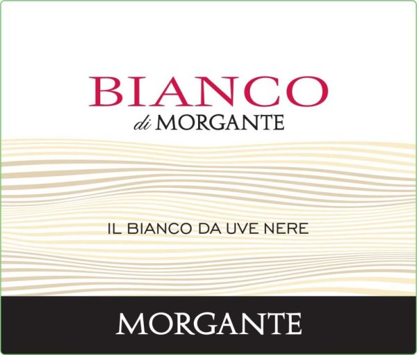 Morgante Bianco di 2022- 1290164