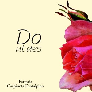 Carpineta Fontalpino Do ut des Toscana 2017- 1215284