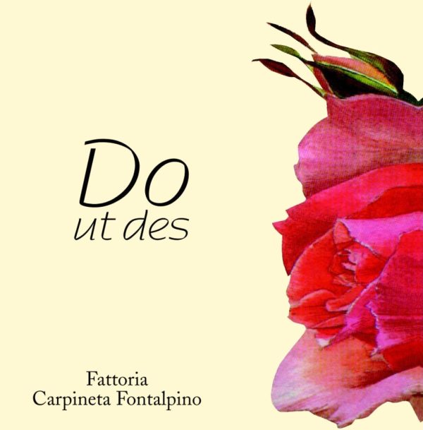 Carpineta Fontalpino Do ut des Toscana 2017- 1215284