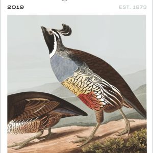 Ink Grade Napa Valley Cabernet Sauvignon 2019- 1626178