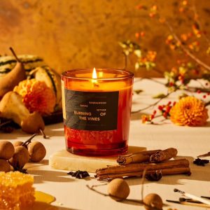 90 Point Cabernet & Rewined Harvest Candle Gift Set- 1321901