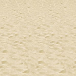 Sandy Beach Room Roll by Windy City Novelties- DEC52000EA