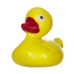 Yellow Ducks by Windy City Novelties- OUT035DZ