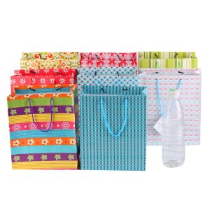 Gift Bags by Windy City Novelties- PAR349UN