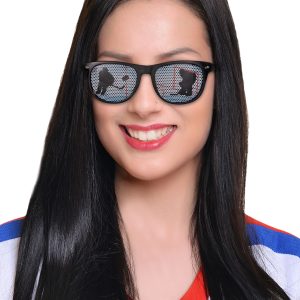 Hockey Novelty Sunglasses by Windy City Novelties- BIL556EA
