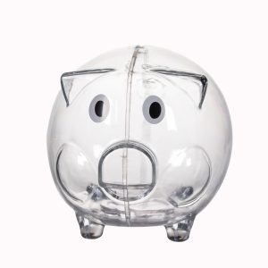 Clear Plastic Piggy Banks by Windy City Novelties- GIF028EA
