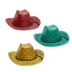 Colorful Straw Cowboy Hats by Windy City Novelties- HAT1031DZ