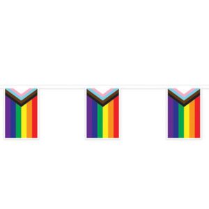 Progress Pride Flags Pennant Banner by Windy City Novelties- DEC53975EA