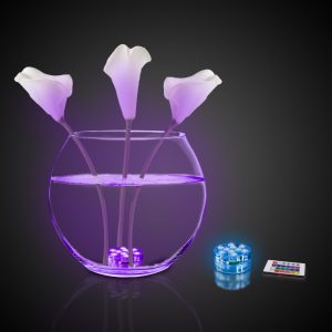 LED Underwater Light with Remote by Windy City Novelties- LIT055EA