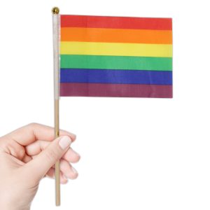 Rainbow Cloth Flags by Windy City Novelties- NOV274DZ