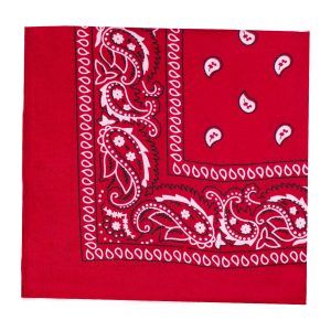 Red 21" Paisley Bandanas by Windy City Novelties- APR10-APR1004DZ