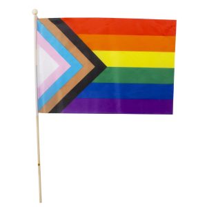 Progress Pride Rainbow Flags by Windy City Novelties- NOV076DZ