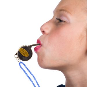 Metal Whistles - 12 Packs by Windy City Novelties- MUS043DZ