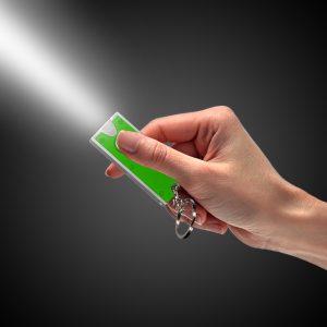 LED Green & Silver Keychain by Windy City Novelties- FLA03-FLA032EA