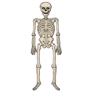 Vintage Jointed Skeleton by Windy City Novelties- DEC01178EA