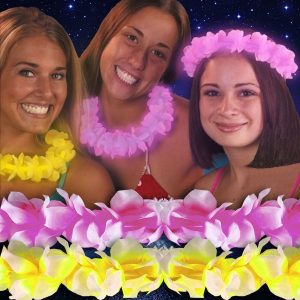 Flower Lei 22" Glow Necklaces by Windy City Novelties- GNS615DZ
