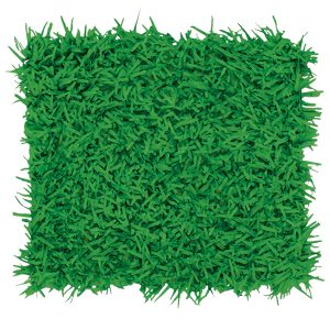 Green Tissue Grass Mats by Windy City Novelties- DEC57161UN